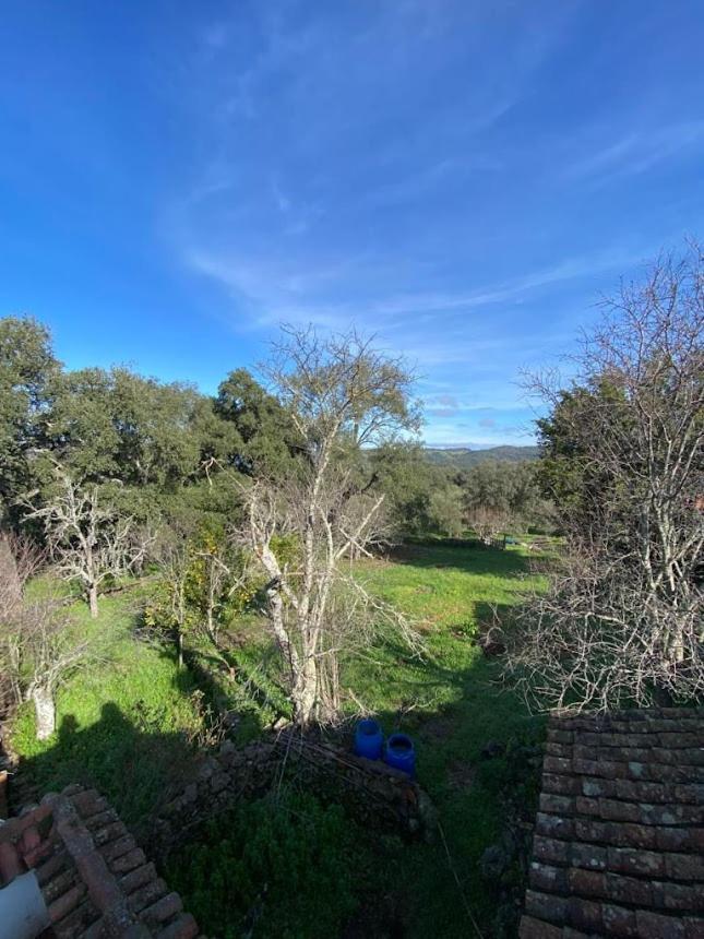 Espaciosa Y Elegante Casa Rural En Los Marines Dış mekan fotoğraf